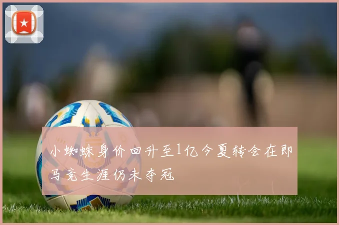 小蜘蛛身价回升至1亿今夏转会在即马竞生涯仍未夺冠